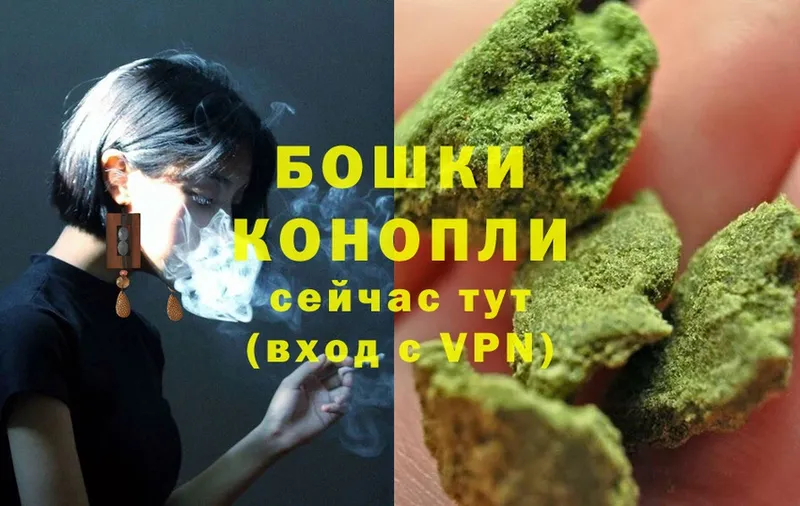 Шишки марихуана сатива  купить закладку  Котово 